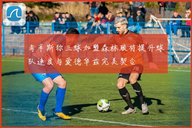 考辛斯称三球加盟森林狼将提升球队速度与爱德华兹完美契合