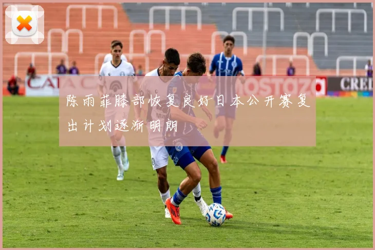 陈雨菲膝部恢复良好日本公开赛复出计划逐渐明朗